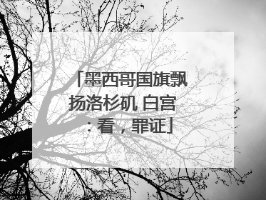 墨西哥国旗飘扬洛杉矶 白宫：看，罪证