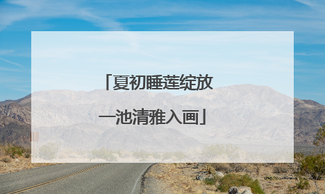 夏初睡莲绽放 一池清雅入画