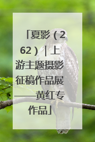 夏影（262）｜上游主题摄影征稿作品展——黄红专作品