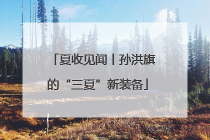 夏收见闻丨孙洪旗的“三夏”新装备