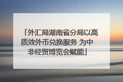 外汇局湖南省分局以高质效外币兑换服务 为中非经贸博览会赋能