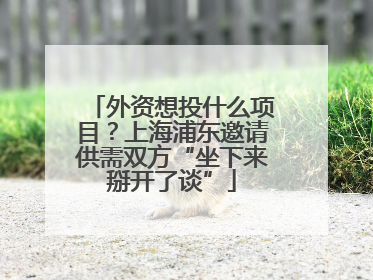 外资想投什么项目？上海浦东邀请供需双方“坐下来掰开了谈”