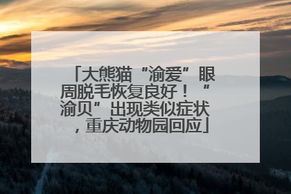 大熊猫“渝爱”眼周脱毛恢复良好！“渝贝”出现类似症状，重庆动物园回应