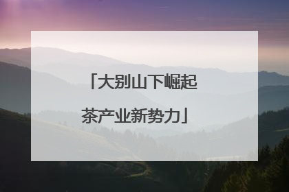 大别山下崛起茶产业新势力