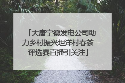 大唐宁德发电公司助力乡村振兴坦洋村春茶评选赛直播引关注