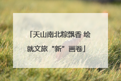 天山南北粽飘香 绘就文旅“新”画卷