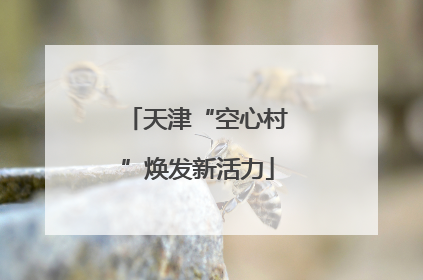 天津“空心村”焕发新活力