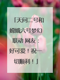 天问二号和嫦娥六号梦幻联动 网友：好可爱！祝一切顺利！