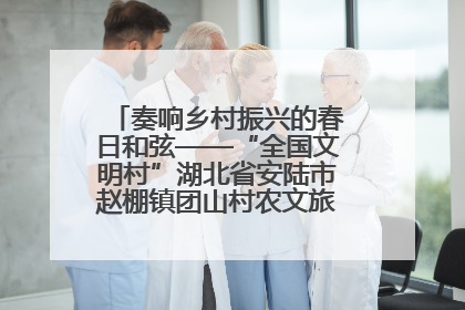 奏响乡村振兴的春日和弦——“全国文明村”湖北省安陆市赵棚镇团山村农文旅融合发展见闻