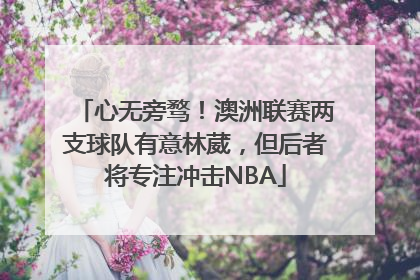 心无旁骛！澳洲联赛两支球队有意林葳，但后者将专注冲击NBA