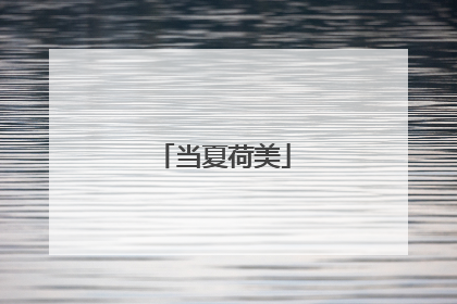 当夏荷美