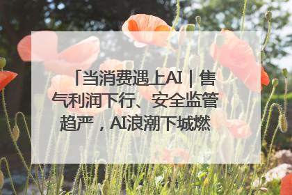 当消费遇上AI｜售气利润下行、安全监管趋严，AI浪潮下城燃企业如何破局