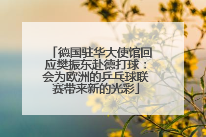 德国驻华大使馆回应樊振东赴德打球：会为欧洲的乒乓球联赛带来新的光彩