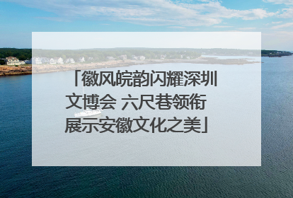 徽风皖韵闪耀深圳文博会 六尺巷领衔展示安徽文化之美