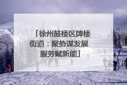 徐州鼓楼区牌楼街道：聚势谋发展 服务赋新能