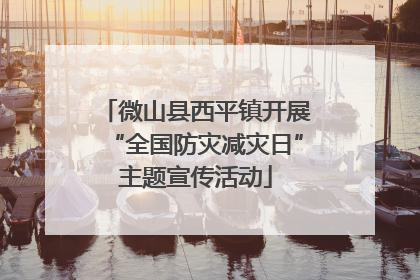 微山县西平镇开展“全国防灾减灾日”主题宣传活动