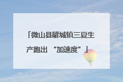 微山县驩城镇三夏生产跑出 “加速度”