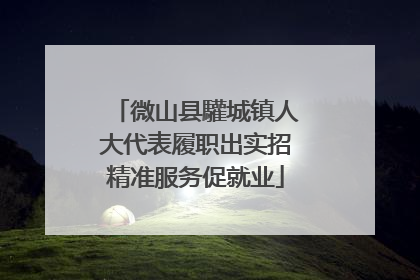 微山县驩城镇人大代表履职出实招精准服务促就业