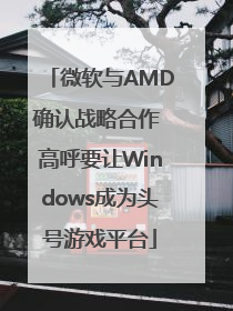 微软与AMD确认战略合作 高呼要让Windows成为头号游戏平台
