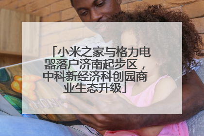 小米之家与格力电器落户济南起步区，中科新经济科创园商业生态升级