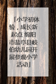 小学初体验，成长新起点 绵阳市盐亭县岐伯幼儿园开展参观小学活动