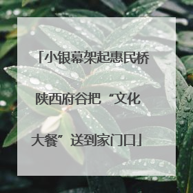 小银幕架起惠民桥 陕西府谷把“文化大餐”送到家门口