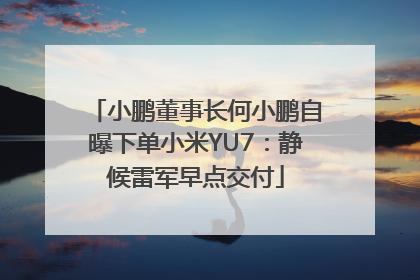 小鹏董事长何小鹏自曝下单小米YU7：静候雷军早点交付