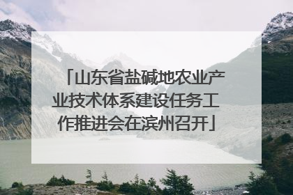 山东省盐碱地农业产业技术体系建设任务工作推进会在滨州召开