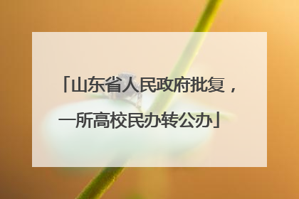 山东省人民政府批复，一所高校民办转公办