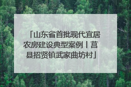 山东省首批现代宜居农房建设典型案例丨莒县招贤镇武家曲坊村