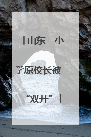 山东一小学原校长被“双开”