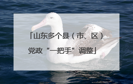 山东多个县（市、区）党政“一把手”调整