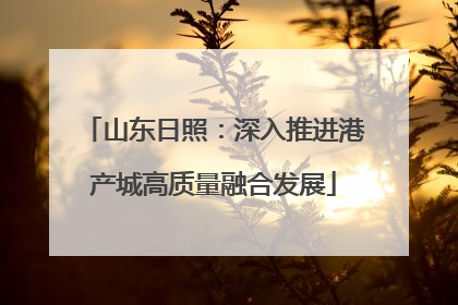 山东日照：深入推进港产城高质量融合发展