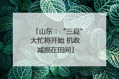 山东：“三夏”大忙将开始 机收减损在田间