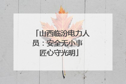 山西临汾电力人员：安全无小事 匠心守光明