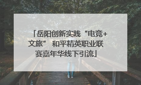 岳阳创新实践“电竞+文旅” 和平精英职业联赛嘉年华线下引流
