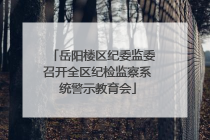 岳阳楼区纪委监委召开全区纪检监察系统警示教育会