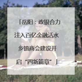 岳阳：政银合力注入百亿金融活水 乡镇商会建设开启“四新篇章”
