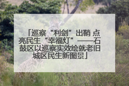 巡察“利剑”出鞘 点亮民生“幸福灯”——石鼓区以巡察实效绘就老旧城区民生新图景