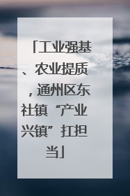 工业强基、农业提质，通州区东社镇“产业兴镇”扛担当