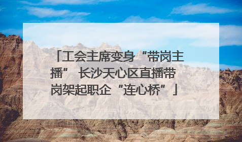 工会主席变身“带岗主播” 长沙天心区直播带岗架起职企“连心桥”