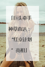 巨头牵手种草直达：“红京计划”亮相