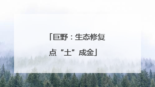 巨野：生态修复点“土”成金