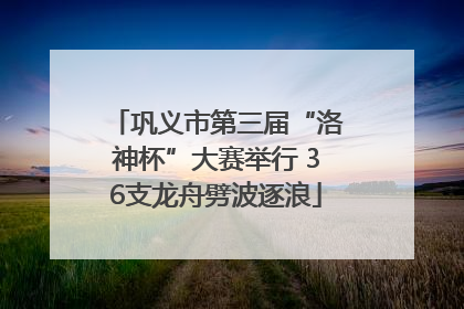 巩义市第三届“洛神杯”大赛举行 36支龙舟劈波逐浪