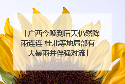 广西今晚到后天仍然降雨连连 桂北等地局部有大暴雨并伴强对流