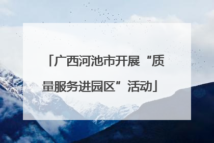 广西河池市开展“质量服务进园区”活动
