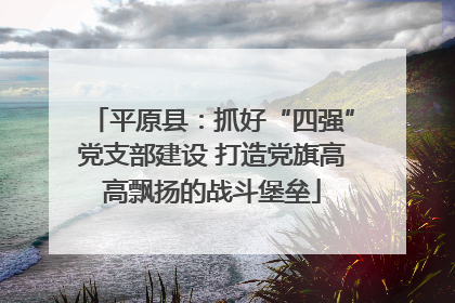 平原县：抓好“四强”党支部建设 打造党旗高高飘扬的战斗堡垒