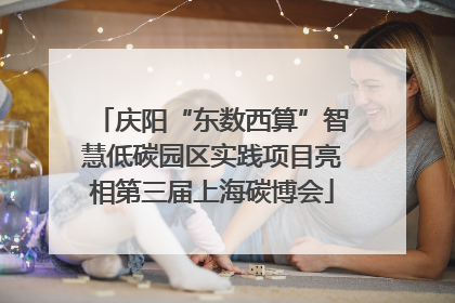 庆阳“东数西算”智慧低碳园区实践项目亮相第三届上海碳博会