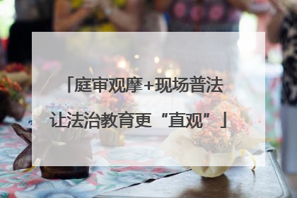 庭审观摩+现场普法 让法治教育更“直观”