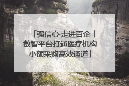 强信心·走进百企丨数智平台打通医疗机构小额采购高效通道